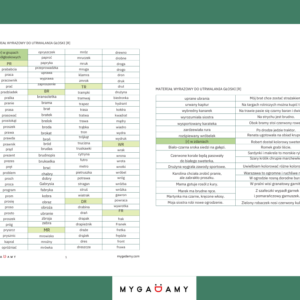 Materiał wyrazowy - głoska R (PDF)