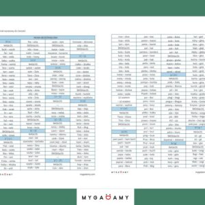 Materiał wyrazowy - mowa bezdźwięczna (PDF)